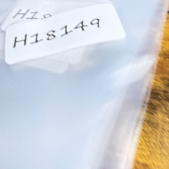 MODO NY MOD 24 Eyeglasses AGD/228 MATTE Tortoise H18149 - Picture 7 of 7